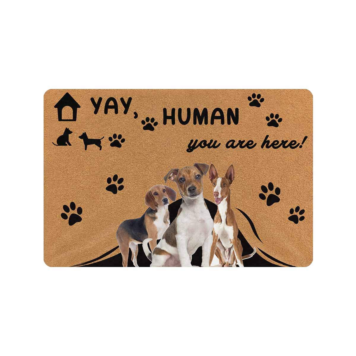 MyPupSocks Custom Personalized Doormat - Non-Slip Indoor/Outdoor Welcome Mat for Front Door, Bathroom & Living Room (24x16 Inches) - Perfect Home Decor Gift for Housewarming & Holidays