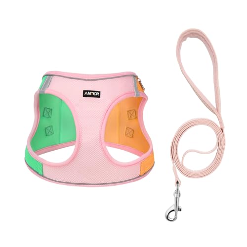 Pink/Orange
