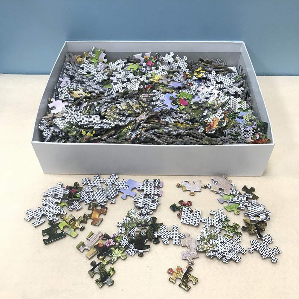 Vantaso 1000-Piece Jigsaw Puzzle for Adults & Kids Ages 10+ - Old City Kiev Landscape Puzzle - Family Game Night & Educational Activity