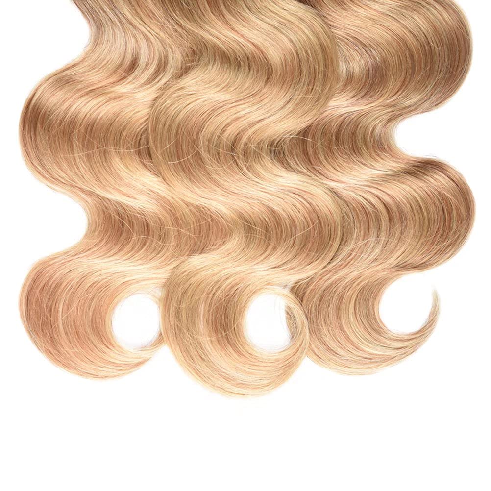 WOME Brazilian Ombre Human Hair Bundles - 3 Bundles Unprocessed #1B/27 Blonde Ombre Two Tone Hair Wefts Extensions (10