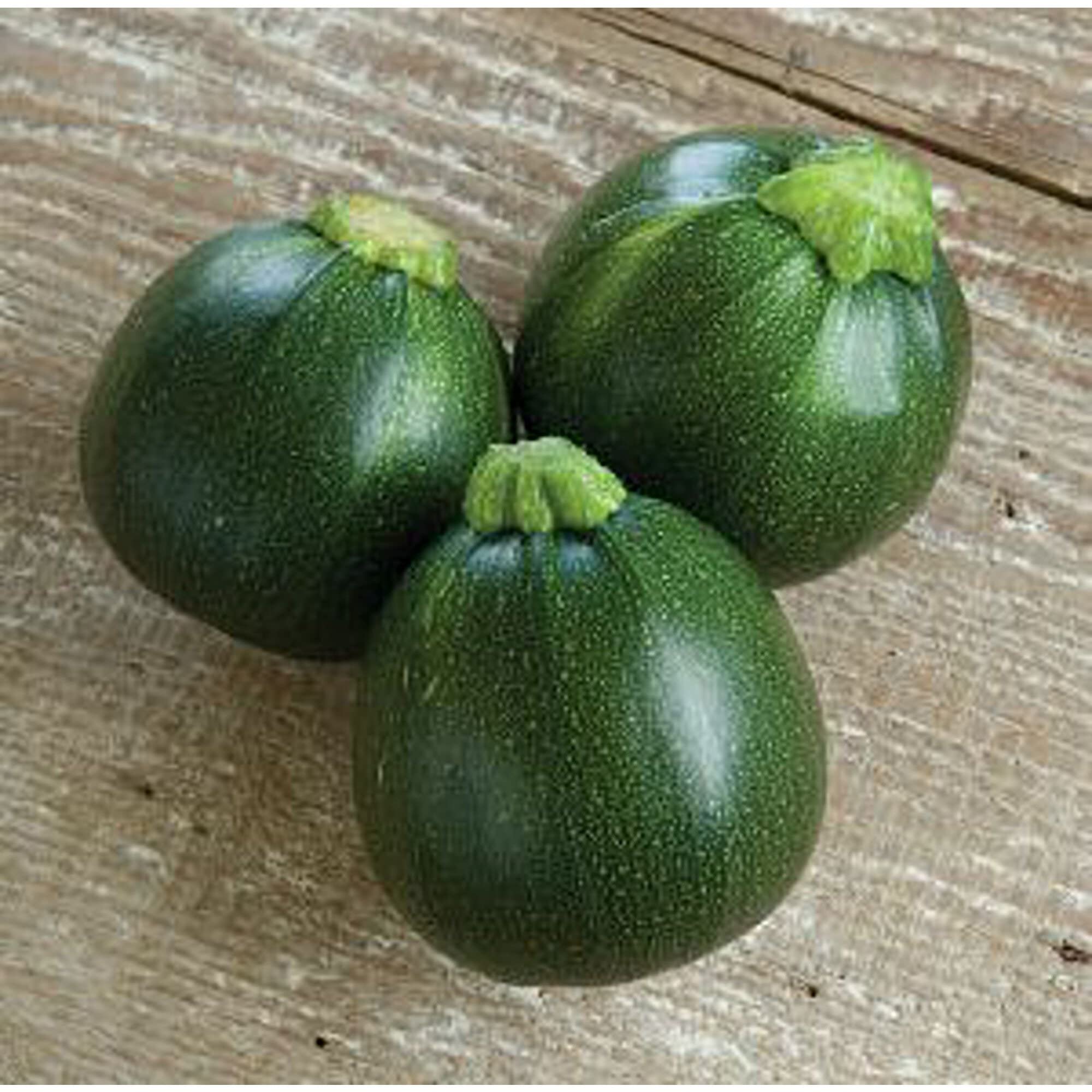 Organic Eight Ball Squash Seeds (20+ Seeds) - Non-GMO Heirloom Vegetable Seeds for Planting | Home Garden, Greenhouse & Container Gardening | Perfect for Summer Squash Recipes & Fresh Salads