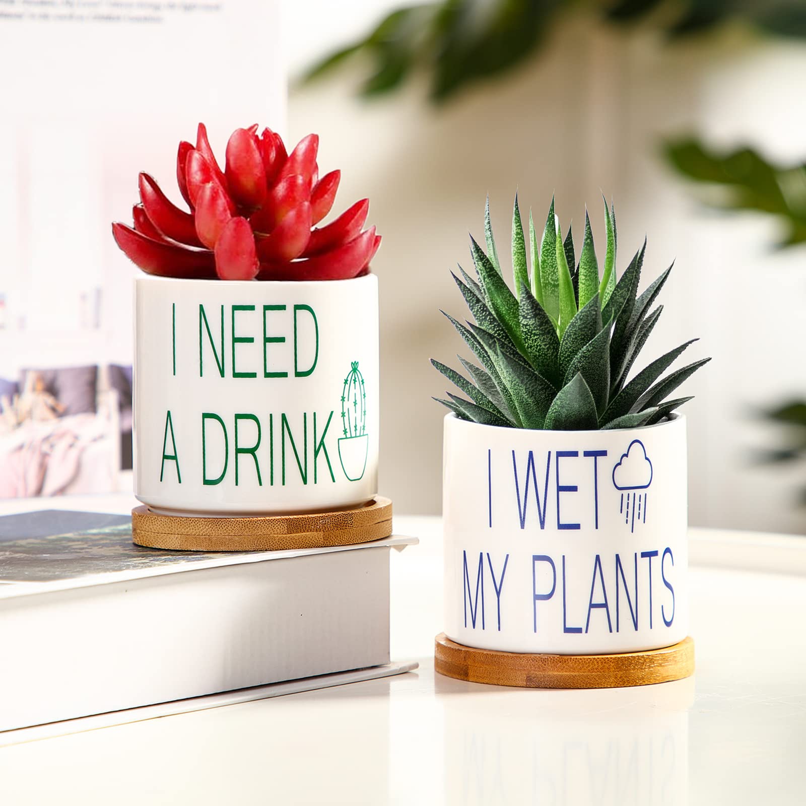 Funny Cute Succulent Pots with Drainage Hole & Bamboo Tray - 3.2 Inch White Ceramic Planters for Cactus, Succulents - Perfect Gift for Grandma, Friends - Ideal for Home Decor, Office Desk, Garden & Indoor Plants (2-Pack, Plain Style)