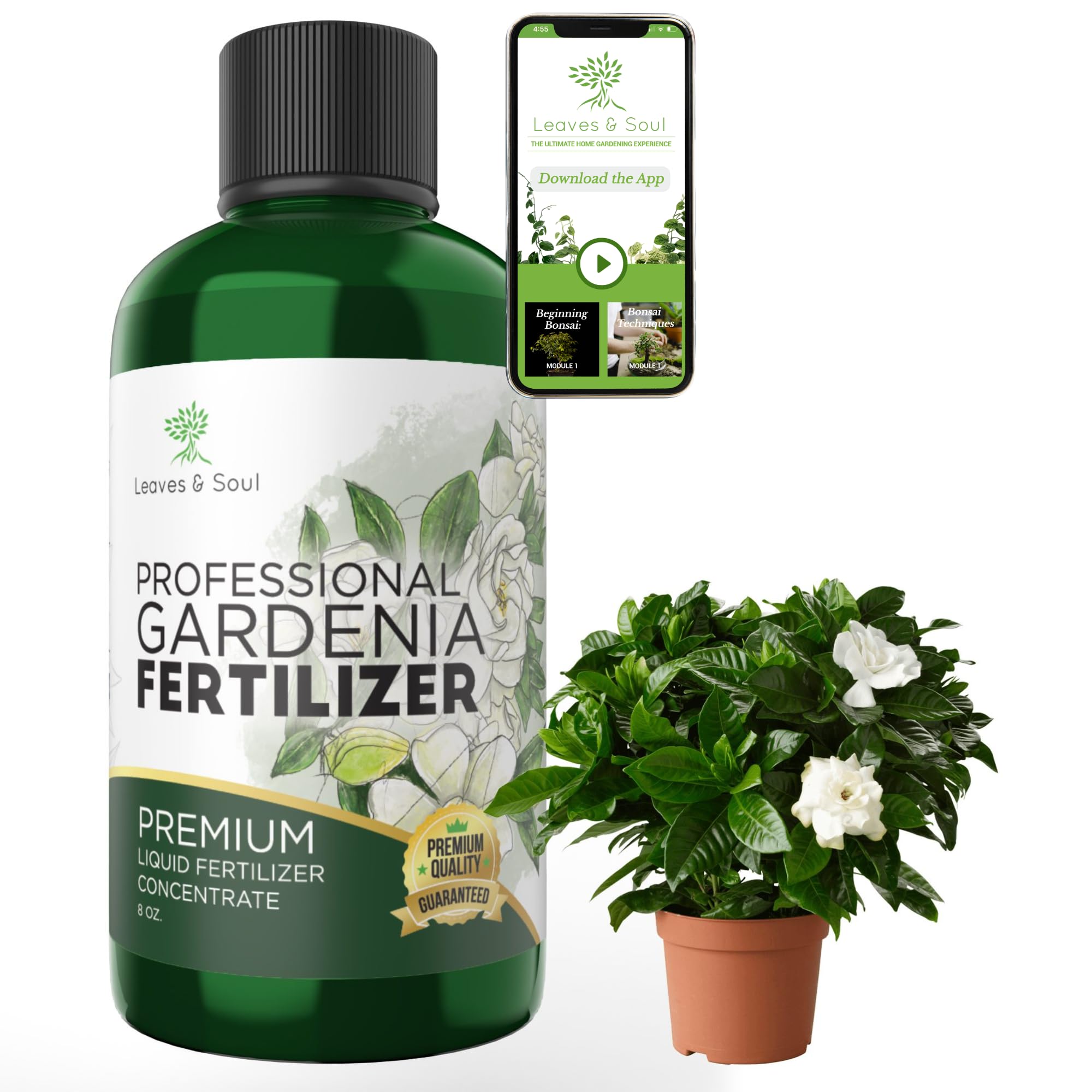 Premium Liquid Gardenia Plant Fertilizer 3-1-2 NPK Concentrate - Flowering Plant Food for Indoor & Outdoor Gardenias - 8oz Bottle for Healthy Blooms & Vibrant Growth - Ideal for Potted Plants, Landscaping & Home Gardening