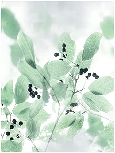 Berry Bright I