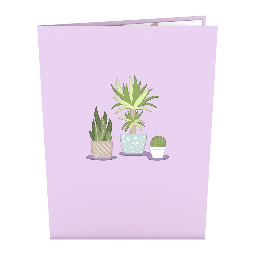 Lovepop Greenhouse Garden 3D Pop-Up Greeting Card - Beautiful Floral Birthday Card for Women, Mother's Day, Anniversary - Perfect for Special Occasions & Home Decor
