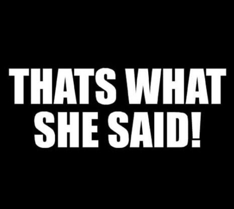 Thats What She Said Funny Die-Cut Vinyl Decal Sticker - Durable for Cars, Windows, Laptops, Toolboxes & Smooth Surfaces | Perfect for Office Humor, Car Decor & Personalizing Devices
