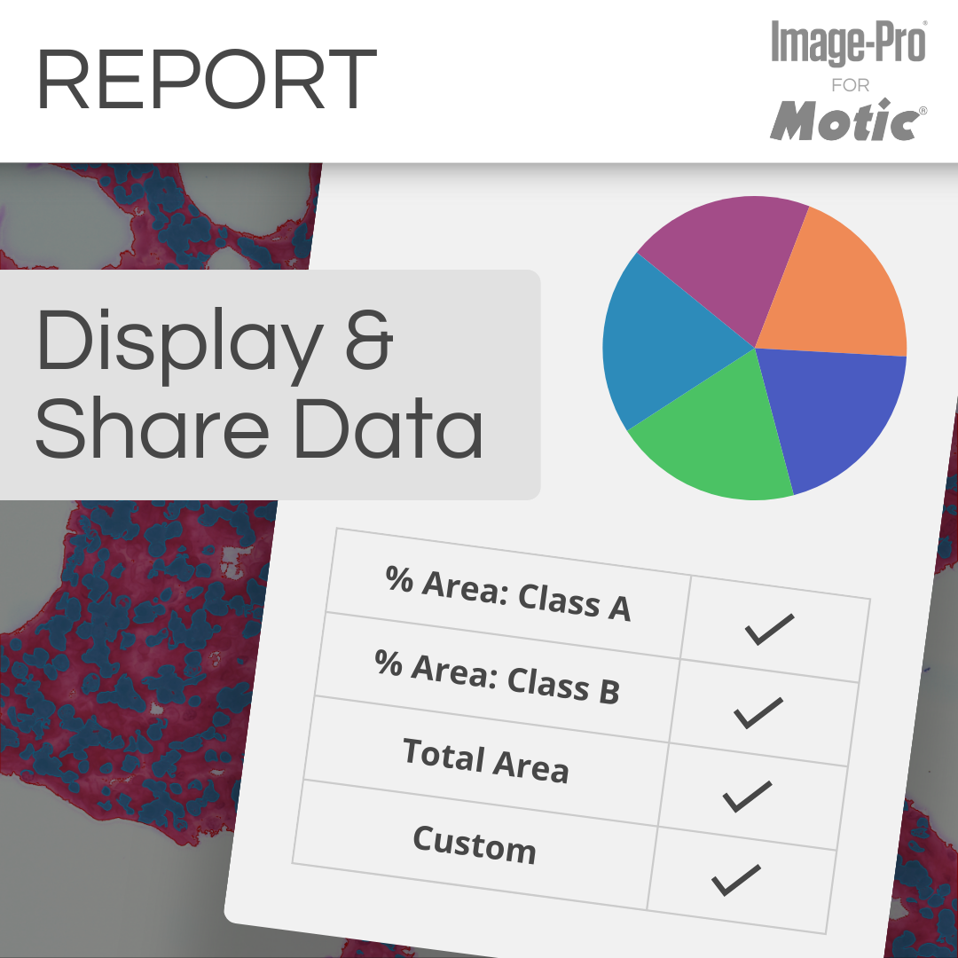PA43 Clinical & Image Pro® Analysis Package - Professional Skin & Photo Analysis Software for Dermatologists & Aesthetic Clinics - Perfect for Skin Diagnosis & Treatment Planning