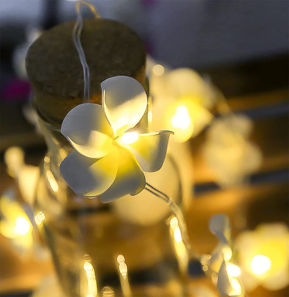 20 LED Artificial Frangipani String Lights - USB Powered Plumeria Flower Fairy Lights for Christmas, Party, Home, Wedding & Beach Decor (White, 1 Pack) | Indoor & Outdoor Decorative Lighting for Garden, Patio, Bedroom and Special Events