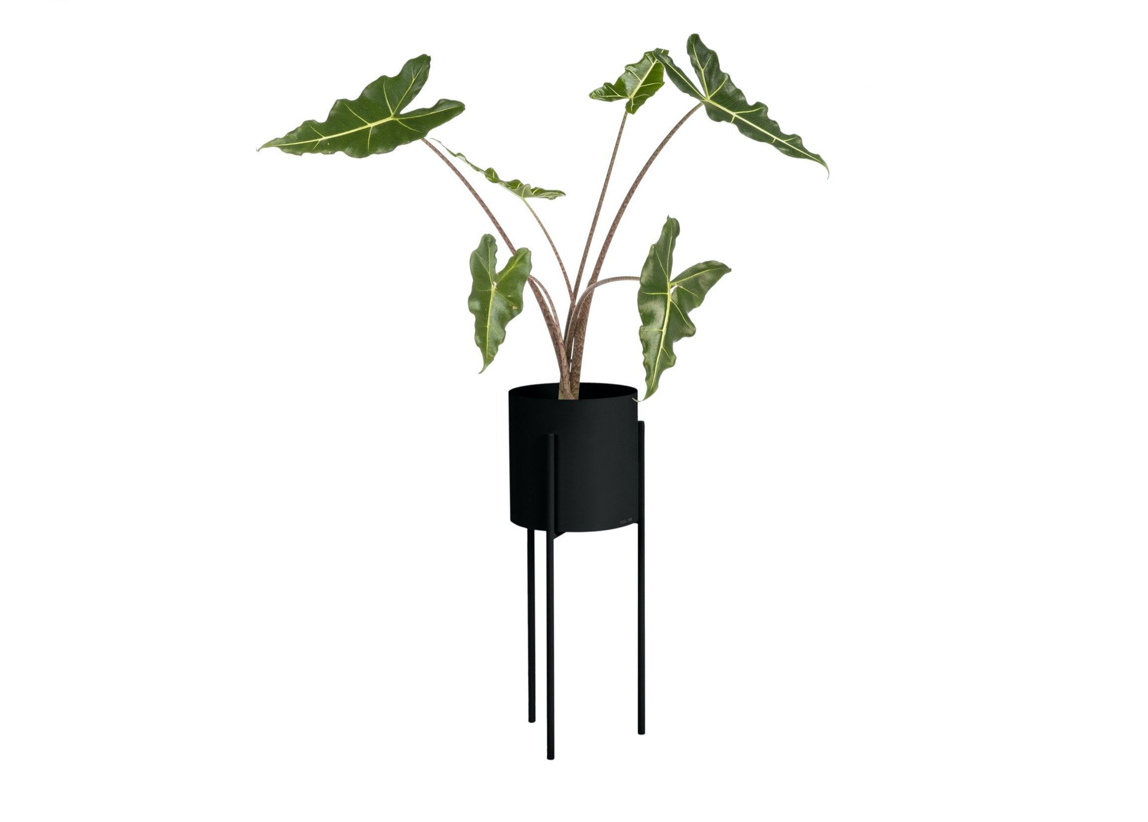 Modern Tall Maki Planter - Large Indoor/Outdoor Flower Pot for Plants, Succulents & Home Decor - Perfect for Living Room, Patio, Garden & Office Spaces