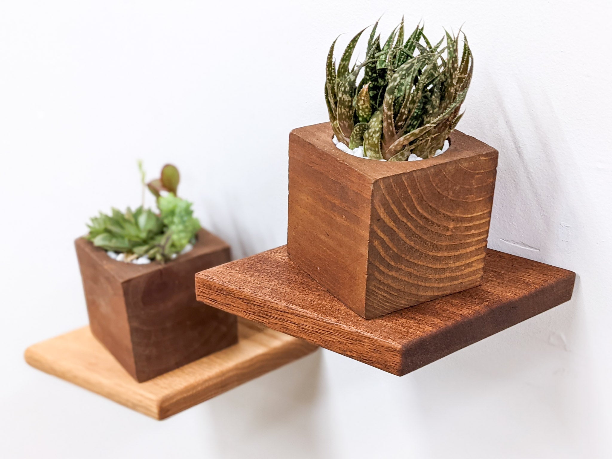 Stylish Oak Rhombus Display Shelf - Perfect for Home Decor, Books & Collectibles | Small Wall Shelf for Living Room, Bedroom & Office