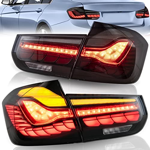 13-18 BMW 3 Series (Dragon Scale Smoked)
