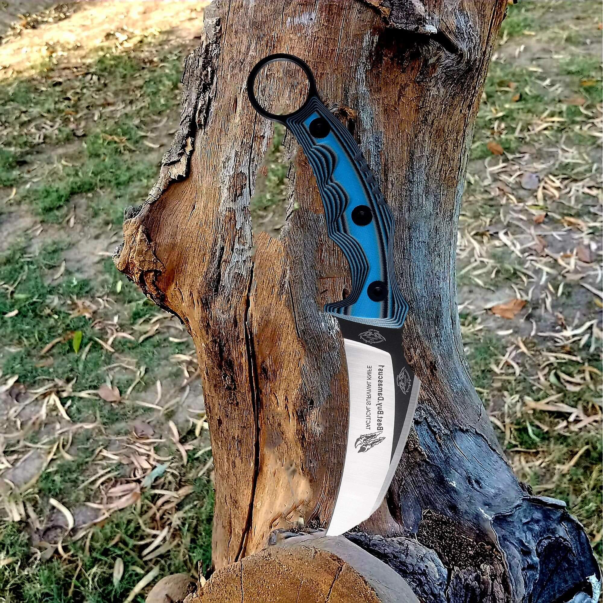 440C Steel Karambit Hunting Knife - Tactical Fixed Blade with Blue G10 Handle (8.2 Inch) - Perfect Outdoor Survival Tool & Unique Gift for Men, Hunters & Camping Enthusiasts - Ideal for Bushcraft, Self Defense & Outdoor Adventures