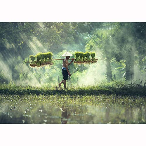 500-5000 Piece Cambodian Farmers Jigsaw Puzzle for Adults - Challenging Large Piece Classic Puzzle Game, Birthday Gift & Home Decoration | Perfect for Family Game Night, Stress Relief & Brain Training