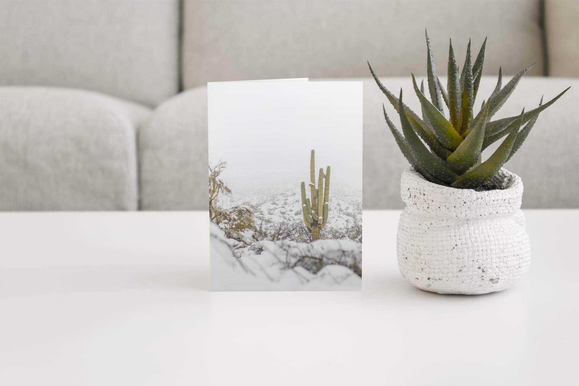 Stonehouse Collection | 12 Winter Saguaro Cactus Greeting Cards with Envelopes | Boxed Desert-Themed Holiday Cards | Perfect for Christmas, Birthdays & Special Occasions