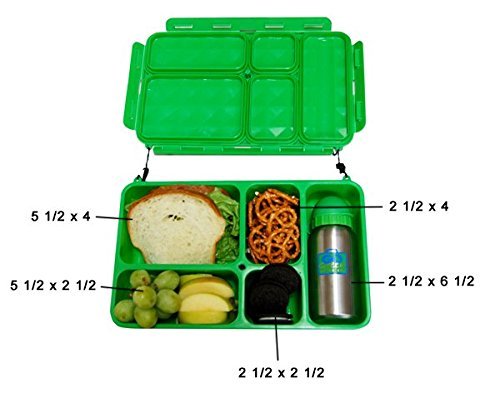 Dinosaur Themed Leakproof Bento Lunch Box Set - 5 Compartment Meal Prep Container with Insulated Bag & Stainless Steel Water Bottle - Perfect for School, Work, Picnics & Outdoor Activities