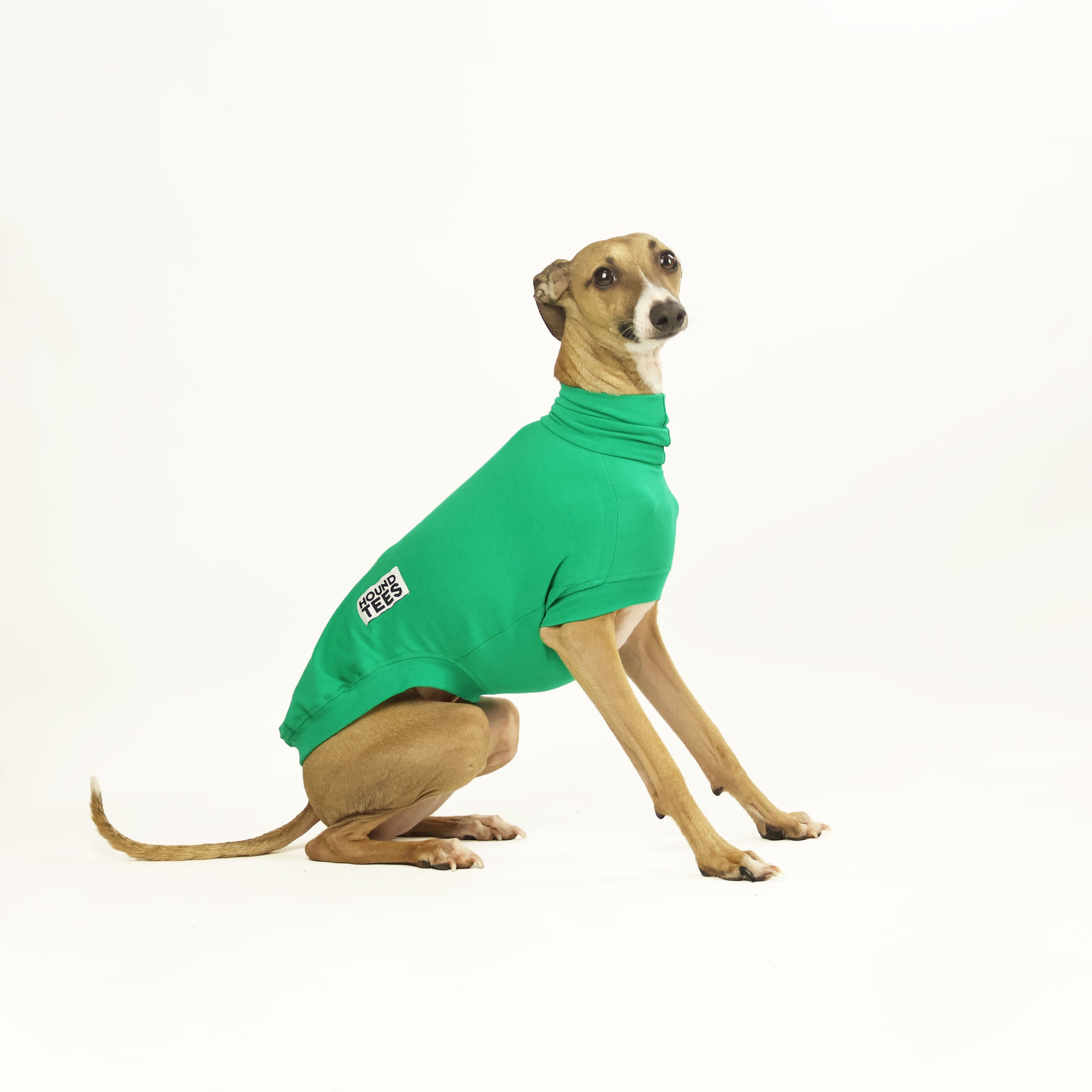 Lounge Lizard Iggy Sleeveless Base Layer - Moisture Wicking Thermal Shirt for Men & Women - Perfect for Hiking, Running & Outdoor Activities