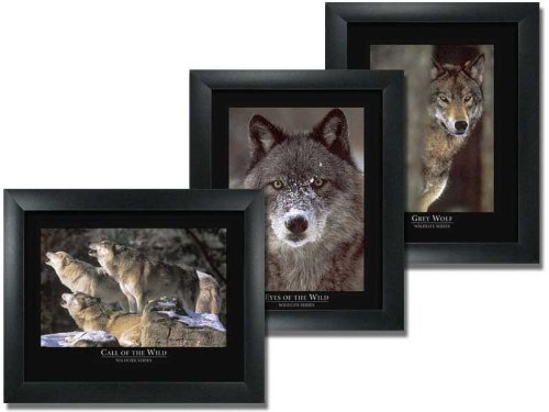 Gray Wolf Wall Art Decor - 3-Pack Framed Wildlife Posters for Living Room, Bedroom & Office - Nature Inspired Home Decor for Cabin, Lodge & Wilderness Themed Spaces