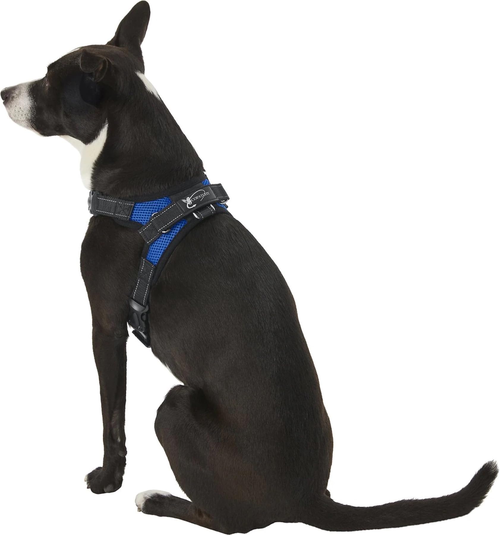 Copatchy No-Pull Reflective Dog Harness with Handle - Adjustable Overhead Mesh Vest for Small & Medium Dogs - Breathable All-Weather Design (Blue, Small) - Perfect for Walking, Training & Outdoor Adventures