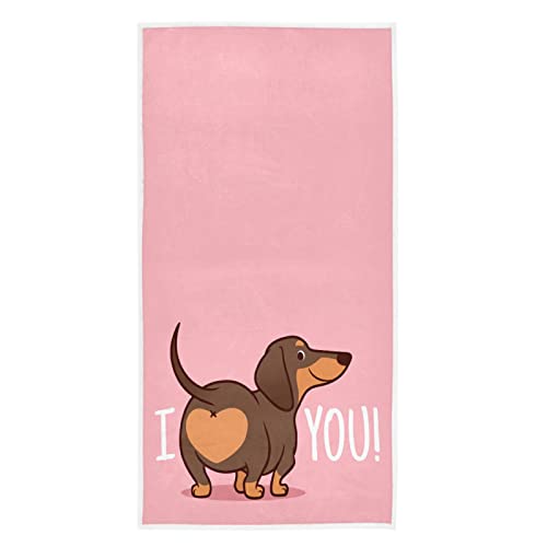 Dachshund