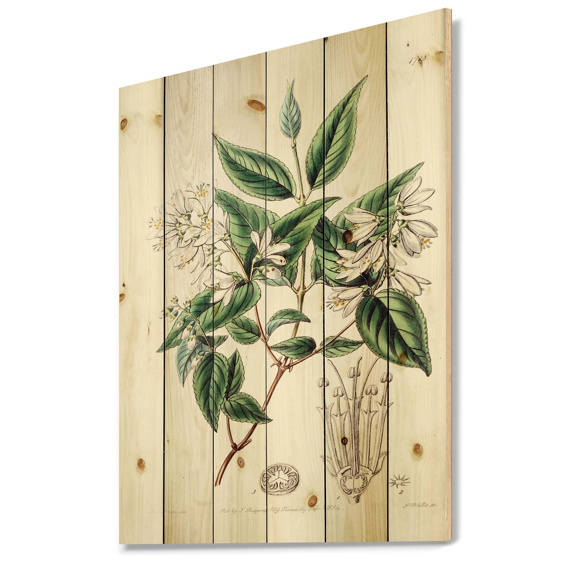Vintage Botanicals Wood Wall Art - Large Floral Wall Decor Panels Printed on Natural Pine Wood - Perfect for Living Room, Bedroom & Office Decor
