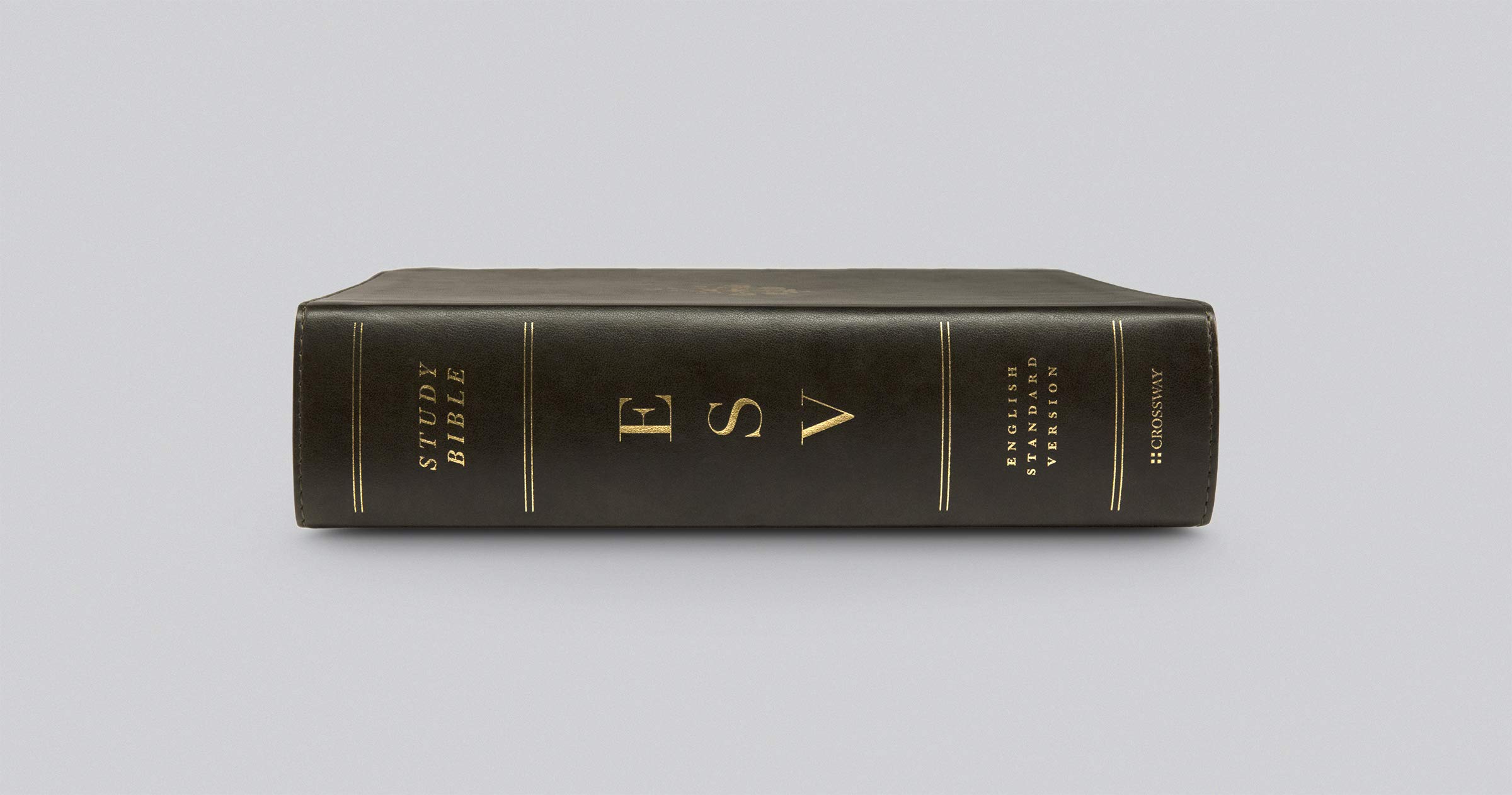 ESV Study Bible - TruTone Olive Branch Design Leather Bible for Men & Women | Perfect for Church, Bible Study Groups & Personal Devotion