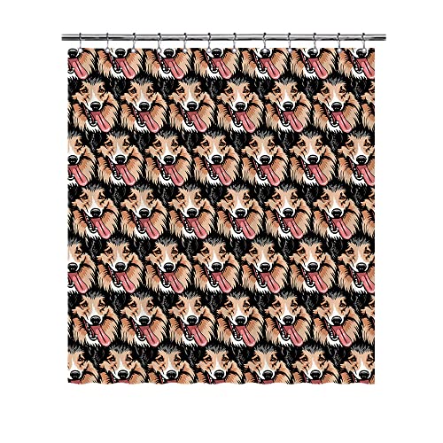 Shetland Shepdog