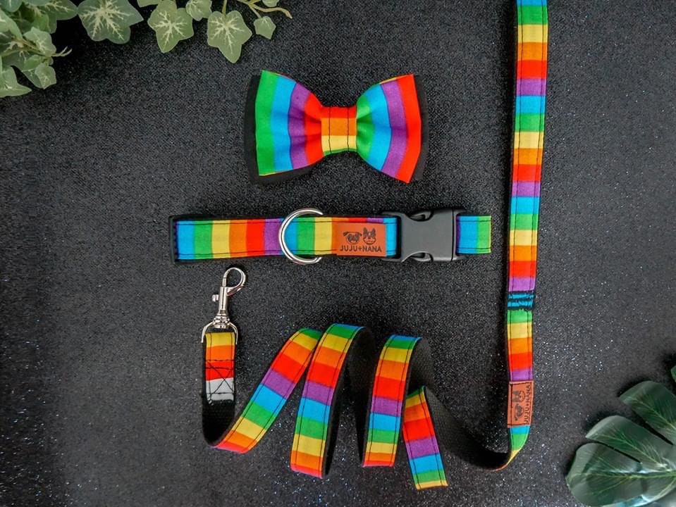 Colorful Rainbow Stripes Dog Harness Set - Adjustable & Reflective Pet Safety Vest for Small Medium Large Dogs - Perfect for Walking, Running, Hiking & Outdoor Adventures