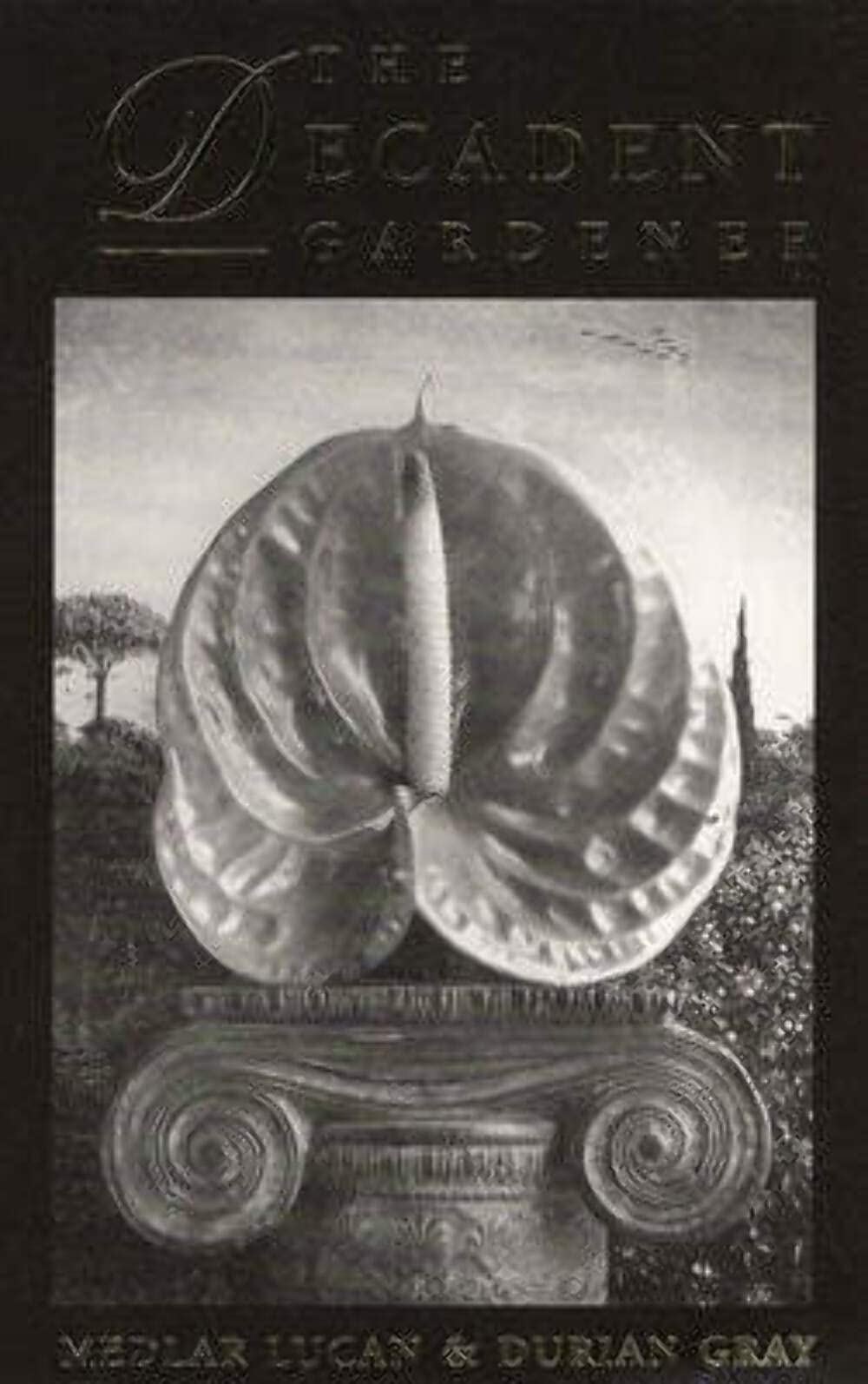 The Decadent Gardener - Dedalus Literary Concept Book | Gothic Fiction, Symbolist Literature | Perfect for Book Clubs & Literature Enthusiasts