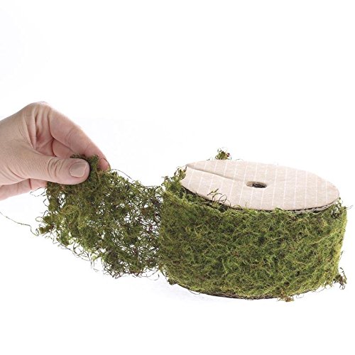 6.5 Feet Bendable Wired Moss Ribbon - Decorative Green Vine for Fairy Gardens, Terrariums, DIY Crafts - Perfect for Home Decor, Floral Arrangements & Scrapbooking