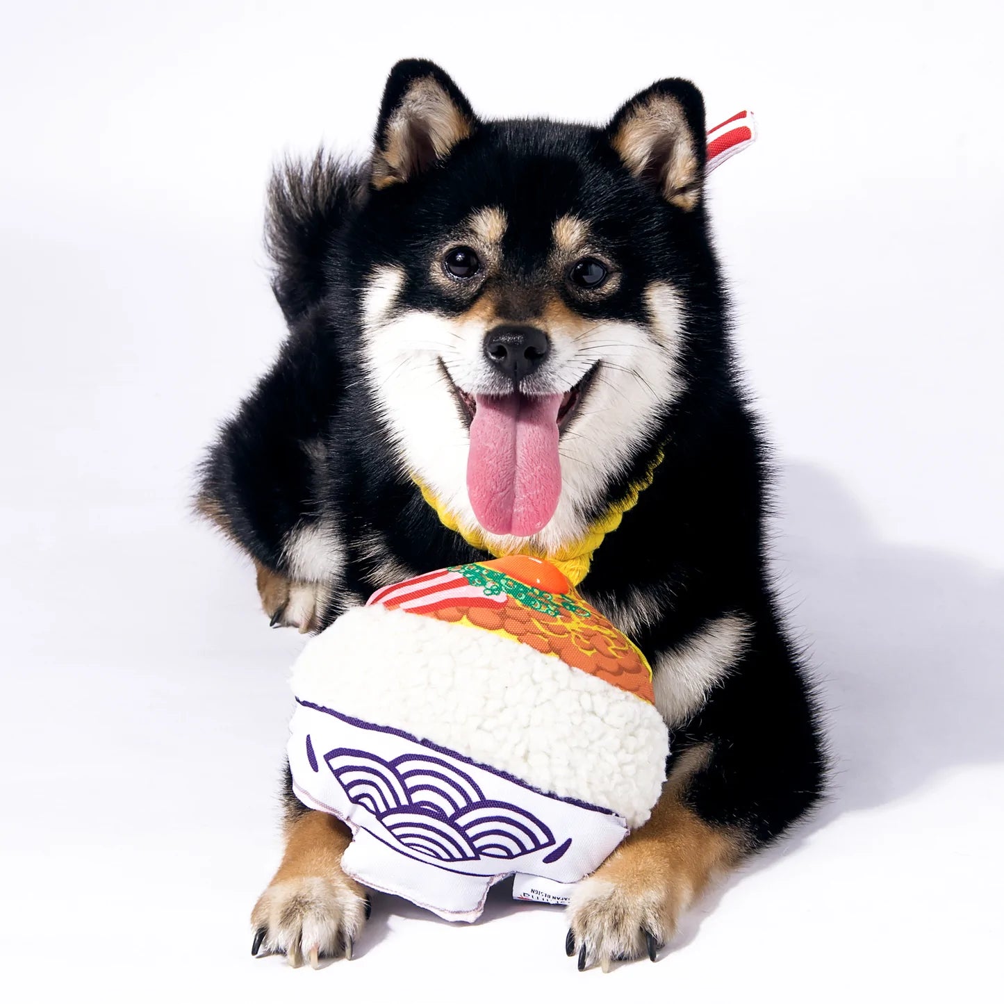 Kashima Chew-Resistant Dog Toy - Durable Natto Flavor Chew Bone for Aggressive Chewers | Perfect for Teething Puppies & Large Breed Dogs