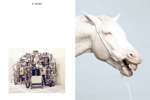 ECAL Photography Book - Bilingual English & French Edition - Perfect for Art Students, Photographers & Collectors