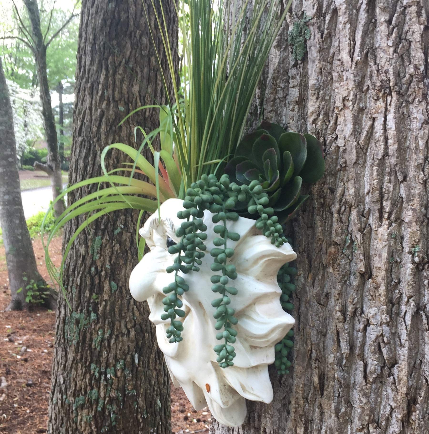 Antique White Mr. Sunshine Face Tree & Patio Wall Statue Planter - Outdoor Garden Decor for Patio, Yard, and Wall Decoration