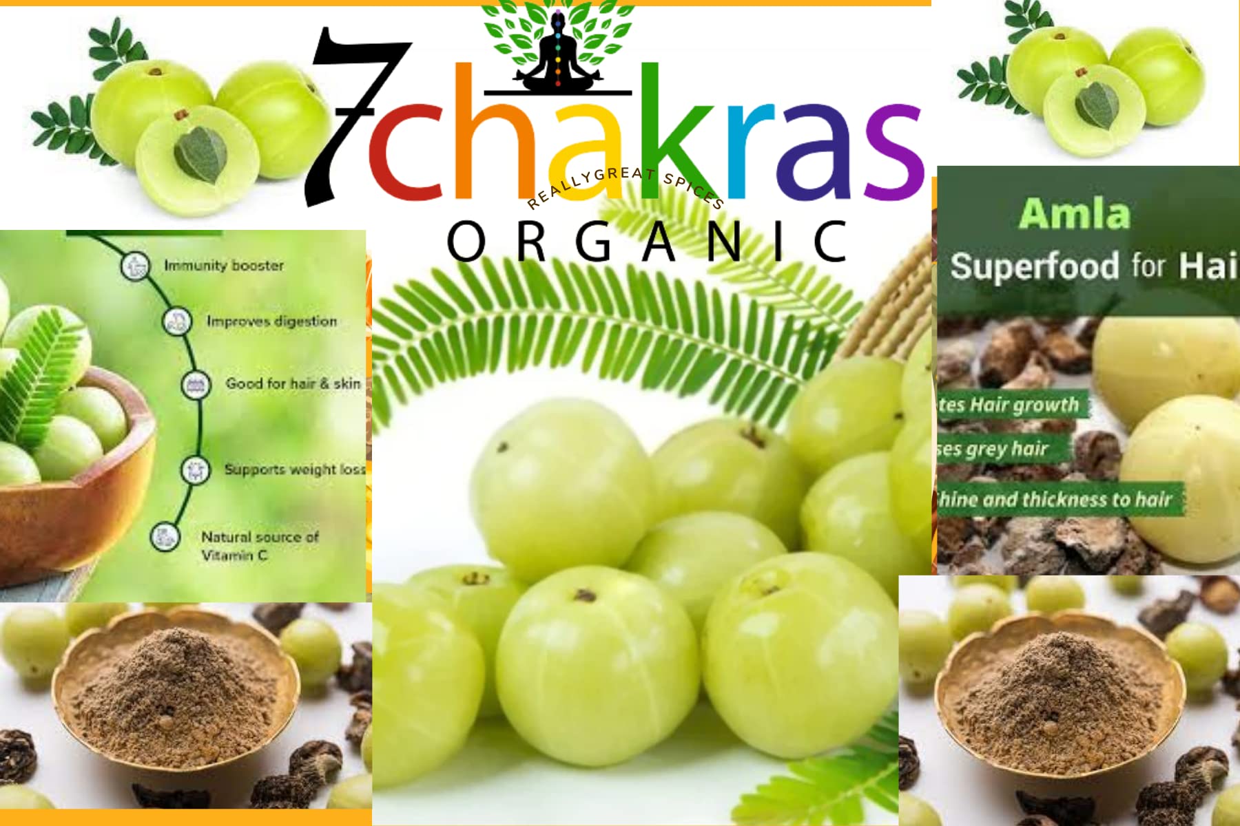 Organic Amla Powder for Hair Growth & Skin Care | 100% Pure Gooseberry Powder for Hair Nourishment, Repair & Healthy Eating | Natural Ayurvedic Superfood for Smoothies, Hair Masks & Wellness (250g)