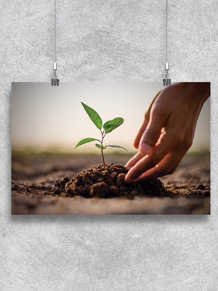 Plant Cultivation Guide Poster - Educational Wall Chart for Gardening & Botany Enthusiasts - Perfect for Classrooms, Home Gardens, and Indoor Plant Care