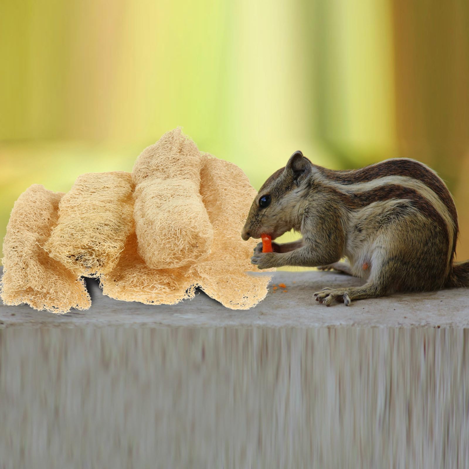 5pcs Natural Loofah Chewing Toys for Dogs, Cats, Small Pets - Teeth Cleaning & Dental Care Chew Toys for Rabbits, Hamsters, Guinea Pigs, Chinchillas - Perfect for Bath Time, Playtime & Molar Health
