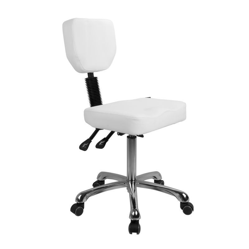 Silverfox Rolling Stool with Backrest 1030 - Adjustable Height Rolling Office Chair with Wheels & Lumbar Support - Perfect for Salon, Tattoo Studio, Medical Clinic & Home Office Use