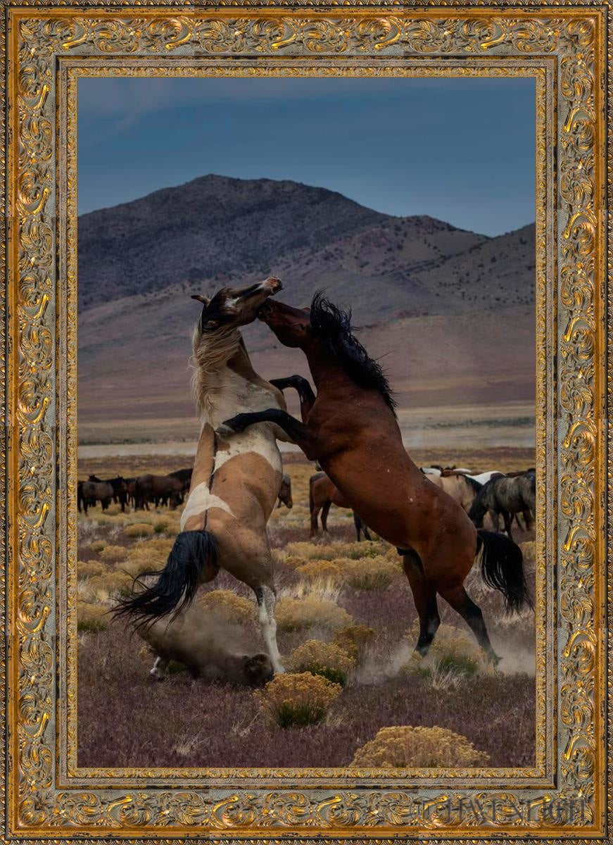 Desert Duel 1 by Greg Sargent - Western Adventure Novel for Adults | Perfect for Book Clubs, Gifts & Western Fiction Fans