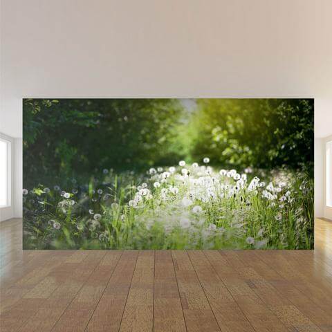 Green and White Landscape Peel and Stick Removable Wall Mural 6203 - Self-Adhesive Wallpaper for Home Decor, Bedroom, Living Room, Office