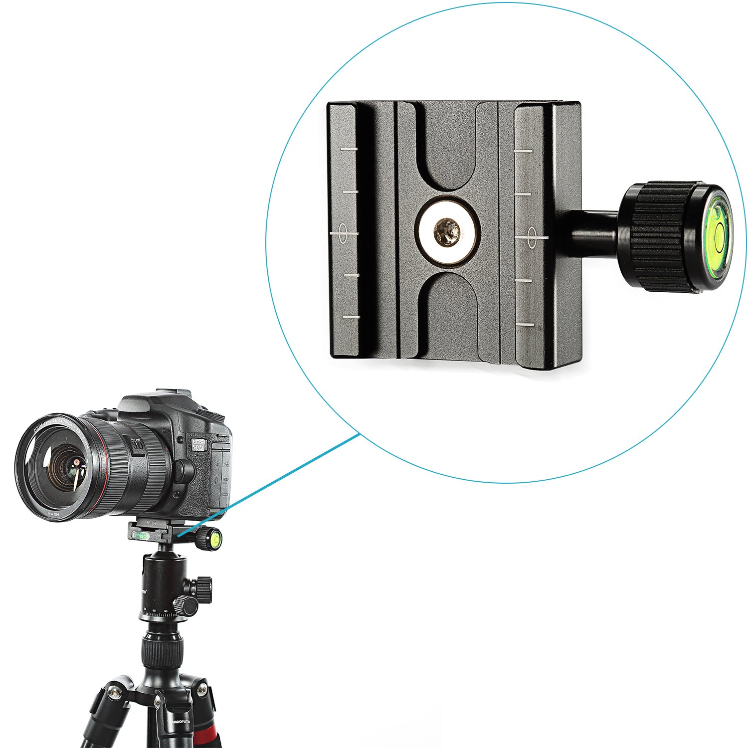 NEEWER QB NA 50mm Arca-Swiss Quick Release Plate for Camera Tripod - Compatible with DSLR, Mirrorless Cameras & Ball Heads - Perfect for Photography, Videography & Travel Shooting
