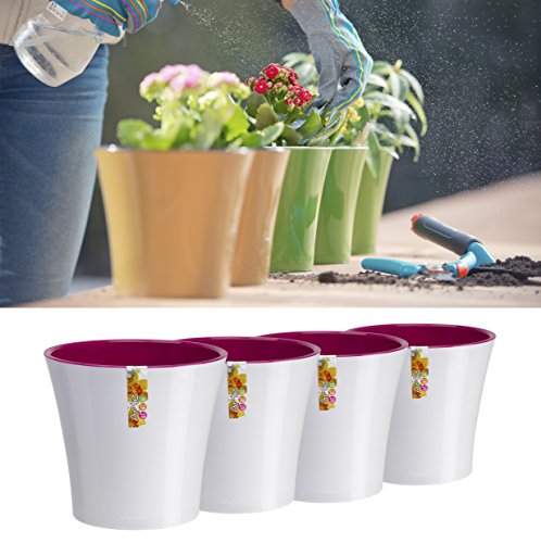 White/Purple - Set of 4