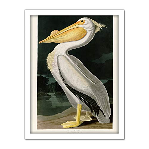 Framed White 18X24