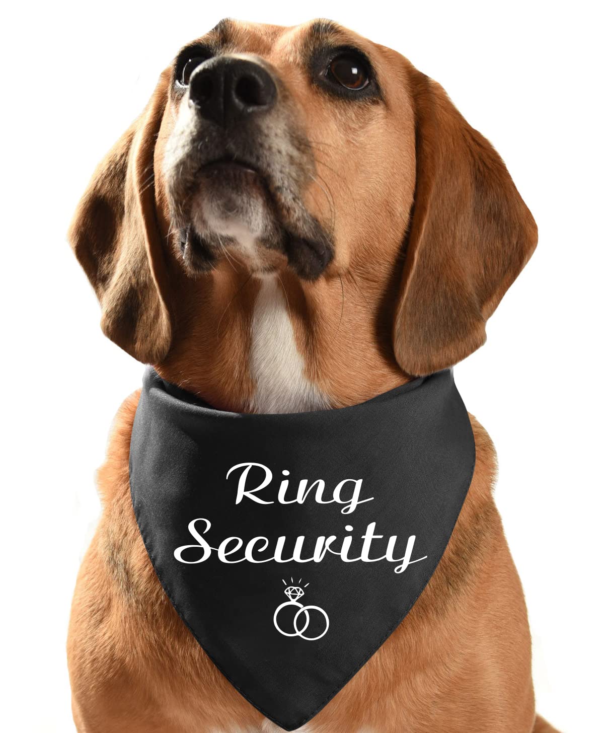 Funny Black Cotton Pet Dog Bandana - Ring Security Dog Bandana for Engagement & Wedding Announcement Photos - Perfect Gift for Dog Lovers & Bridal Showers (Great for Pet Parties, Photo Shoots & Special Occasions)