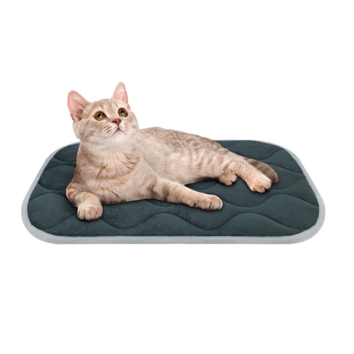 FurryBaby Anti-Slip Dog Bed Mat - Machine Washable Pet Kennel Pad for Small Dogs (22x13 Inches, Grey) - Perfect for Crates, Floors & Travel Use