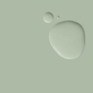 Premium 2.5L Terre Verte Wall Paint - Eco-Friendly Matte Finish Interior Paint for Living Room, Bedroom & Home Decor - Easy Application & Long-Lasting Coverage