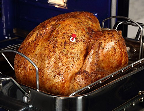 Original Pop Up Disposable Cooking Thermometer - 145°F (Orange) Large - Pack of 10 for Turkey, Chicken, Roast Beef - Perfect for Grilling, Baking & Holiday Meals