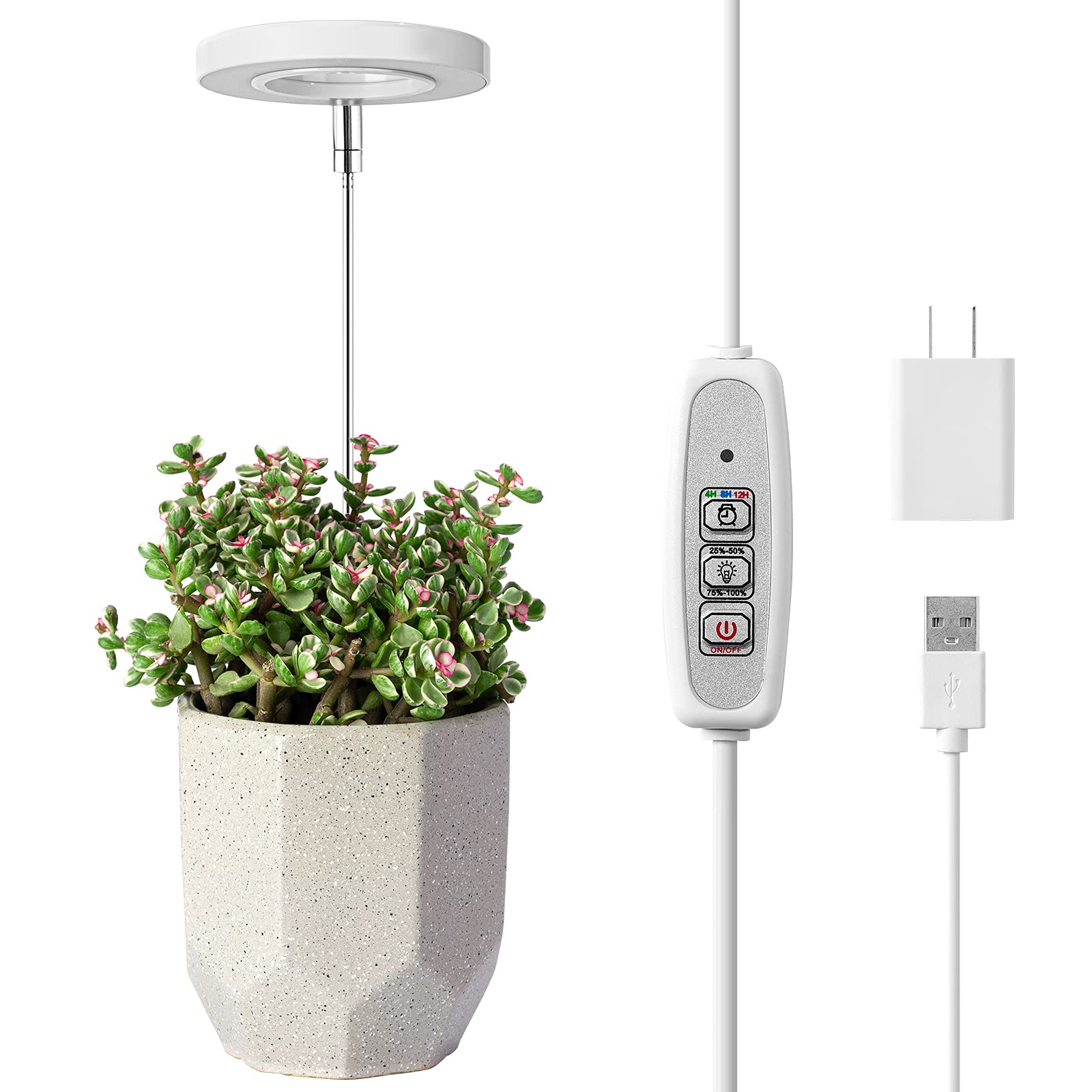 LORDEM Full Spectrum LED Grow Light for Indoor Plants - Height Adjustable Plant Growing Lamp with Auto On/Off Timer (4/8/12H) & 4 Dimmable Brightness Levels - Perfect for Small Plants, Herbs, Seedlings & Succulents - Ideal for Home Gardening, Hydroponics & Indoor Plant Growth