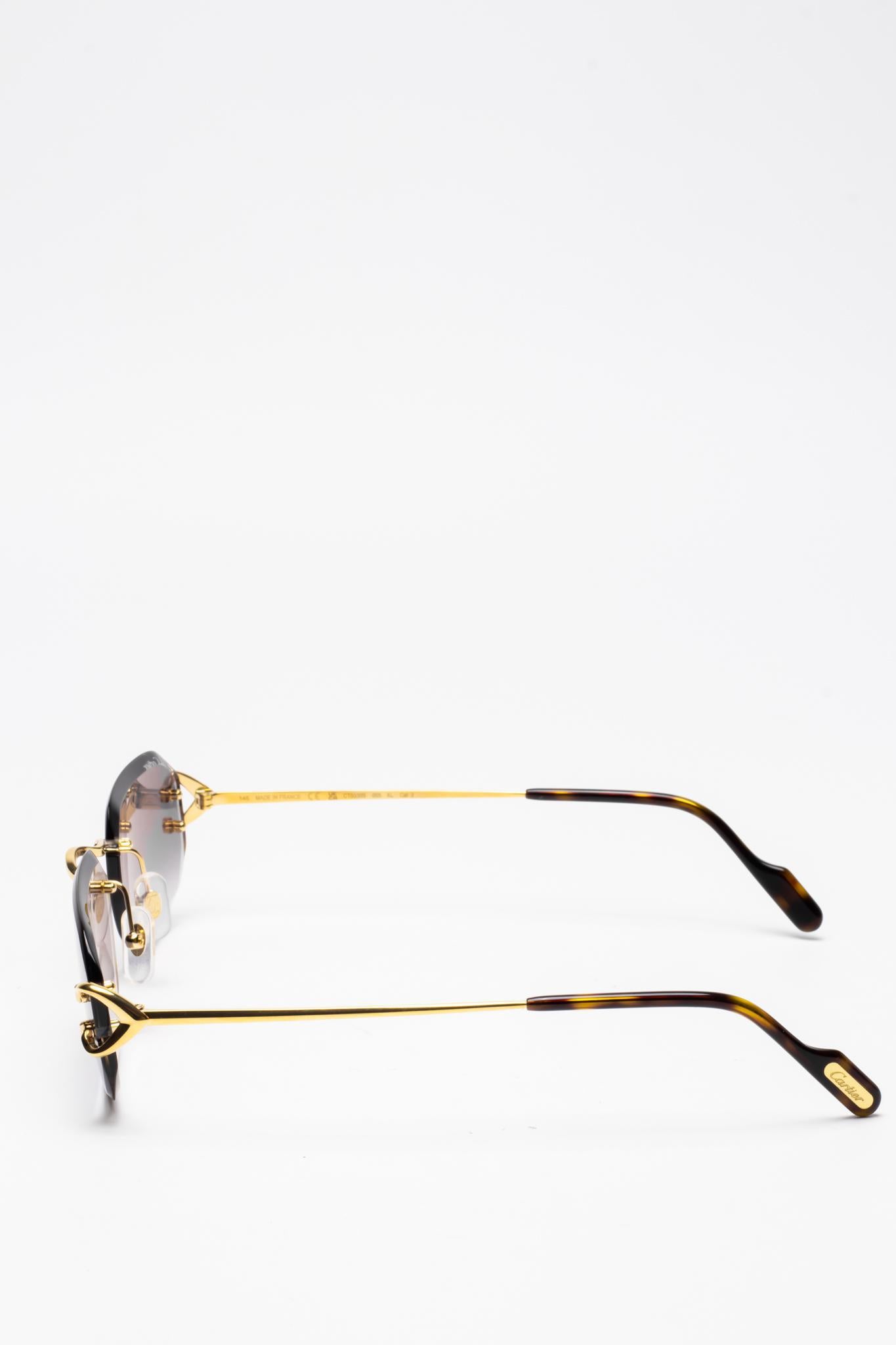 Cartier CT0468S 001 C Décor Sunglasses - Luxury Designer Shades for Women & Men - UV Protection, Fashionable Eyewear for Beach, Driving & Outdoor Activities