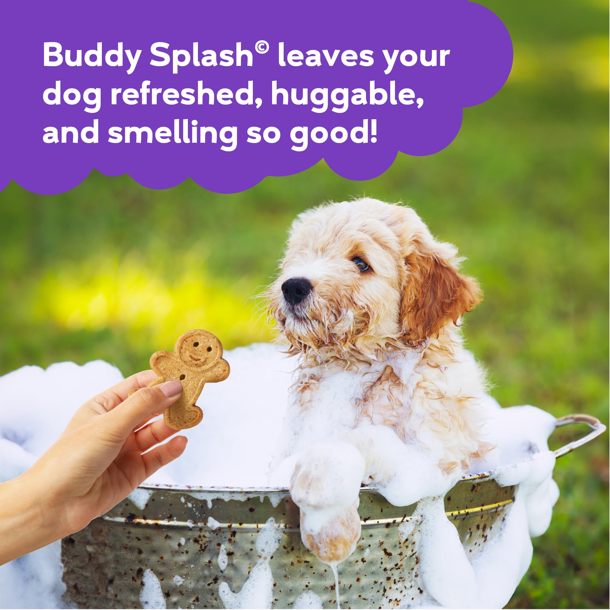 Buddy Splash Spritzer & Conditioner for Dogs - Lavender & Mint Scented Leave-In Spray (4oz) | Detangling, Moisturizing & Deodorizing Dog Grooming Spray | Perfect for Bath Time, Brushing & Between Washes