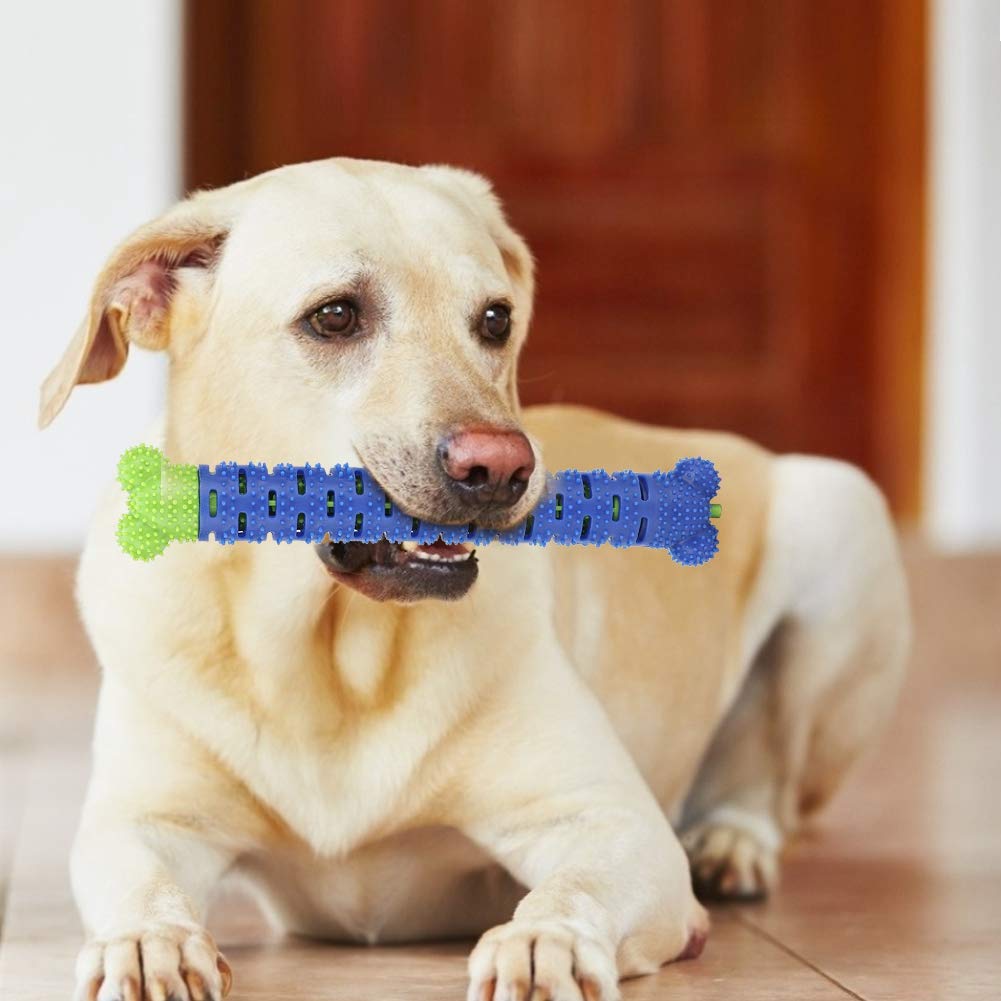 HEEPDD Dog Toothbrush Stick - 9.84 Inch Puppy Dental Chew Toy for Teeth Cleaning & Oral Care | Safe Chewing Toy for Small & Medium Dogs | Perfect for Puppy Teething, Dental Hygiene & Playtime