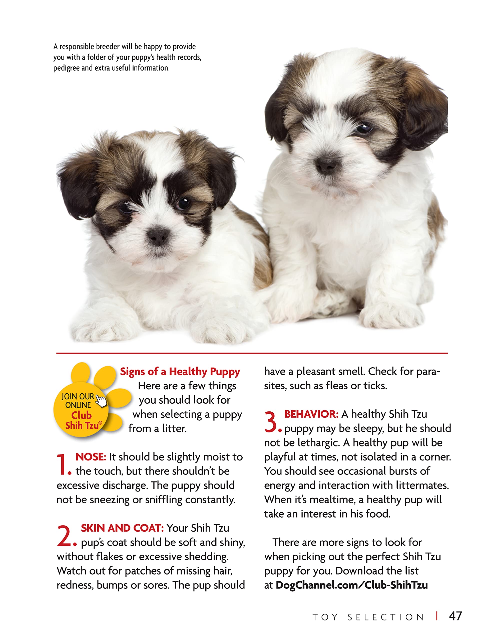 Shih Tzu Dog Breed Guide - Smart Owner's Companion Book for Training & Care | Perfect for New Pet Owners & Dog Lovers